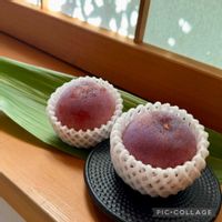 スモモ,和の趣,夏の果物,和の庭,すももの画像