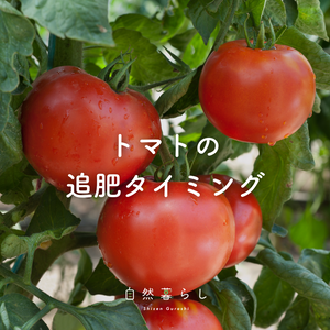 植物のある暮らし,肥料,プランター栽培,ベランダ菜園,自然のある暮らしの画像