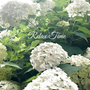 インテリア雑貨,フラワー雑貨,豪雪地,小さな庭の画像