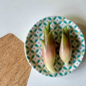 みょうが,ミョウガ,ミョウガ﹙茗荷﹚,半日陰,夏野菜の画像
