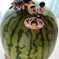 スイカ,小玉スイカ(ピノガール),❤️いいね、ありがとう,繋がりに感謝✨,全国オヤジ連合会の画像