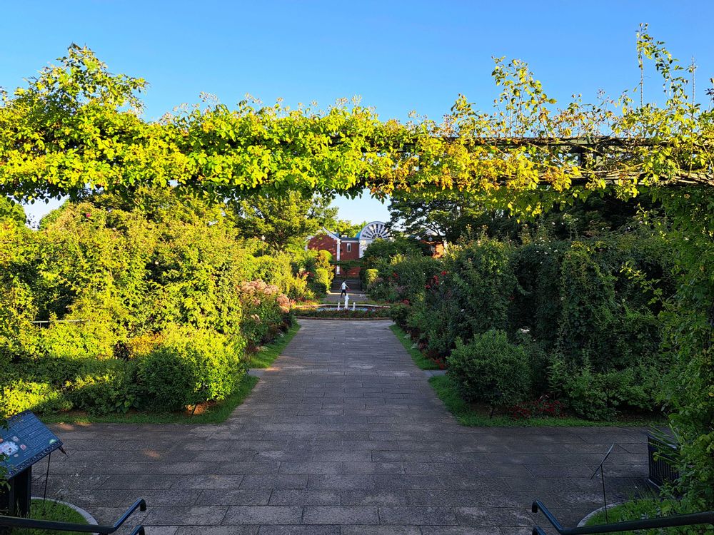 エリィさんの港の見える丘公園への投稿