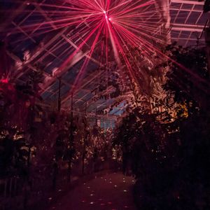 植物園,温室,ライトアップの画像
