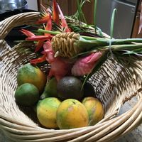 ライム,マンゴー,パパイヤ,ブレッドフルーツ,Hawaiiの画像