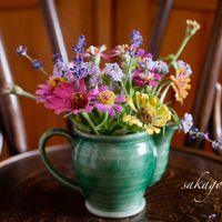 ジニア,ラベンダー,バーベナリギダポラリス,ブロカント,畑の花の画像