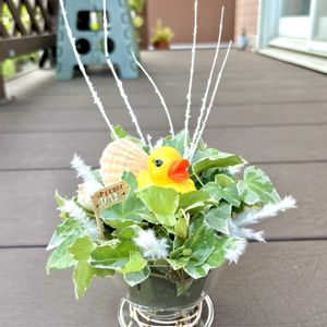 ウッドデッキ,うちの花ちゃん♡,ワンコと一緒に♡,ほっこり〜♡の画像