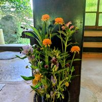 キンセンカ,リンドウ,ワレモコウの画像