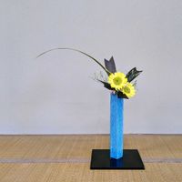 アスター,ドラセナ,ヒマワリ,ニューサイラン,ハイブリッド スターチスの画像