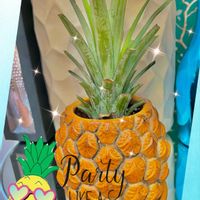 パイナップル,植え替え,水差し♪,観葉植物を楽しむ,植物大好きの画像