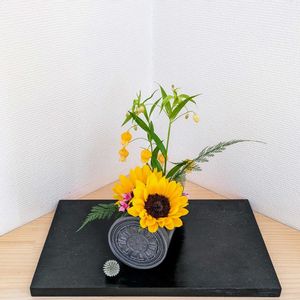 サンダーソニア,ヒマワリ,ルリタマアザミ,ブバルディア,ダバリア ラビットフットの画像