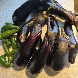 ナス,ピー太郎,収穫物,夏野菜,市民農園の画像