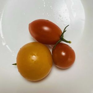 ミニトマト,自家製野菜,夏野菜,ベランダ菜園,家庭菜園の画像
