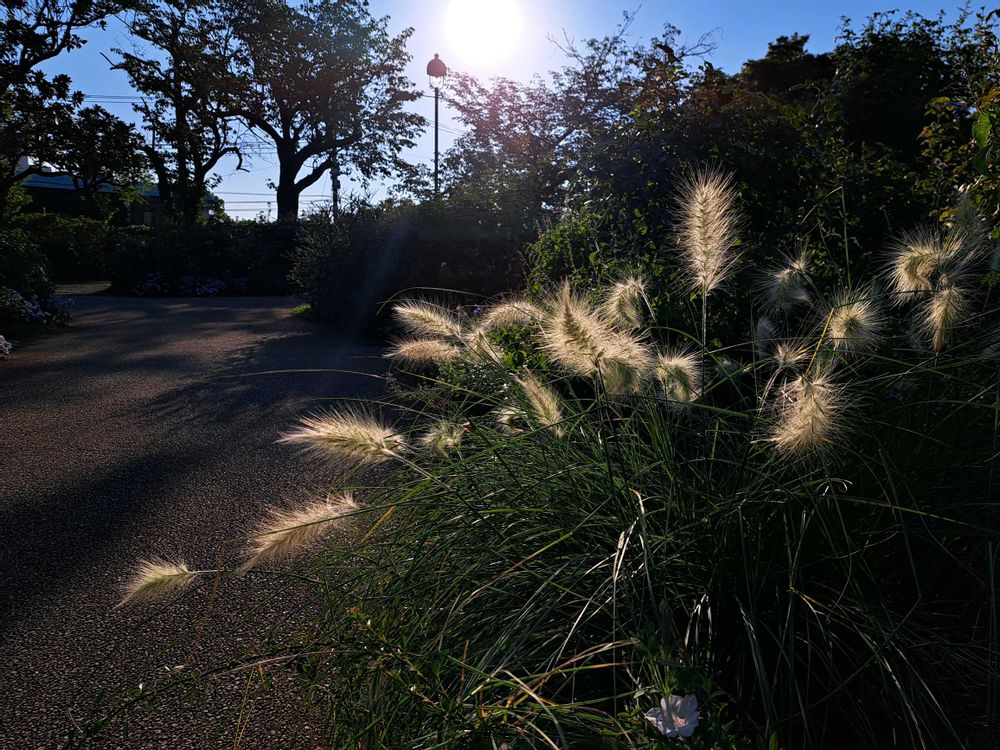 エリィさんの港の見える丘公園への投稿