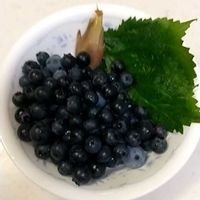 ブルーベリー,畑の画像