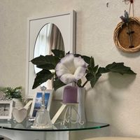チュラ（朝鮮朝顔),花言葉,花のある暮らし,誕生花,GS映えの画像