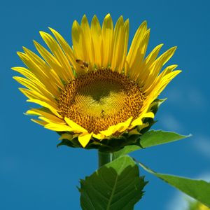 キッチン,テラスの画像