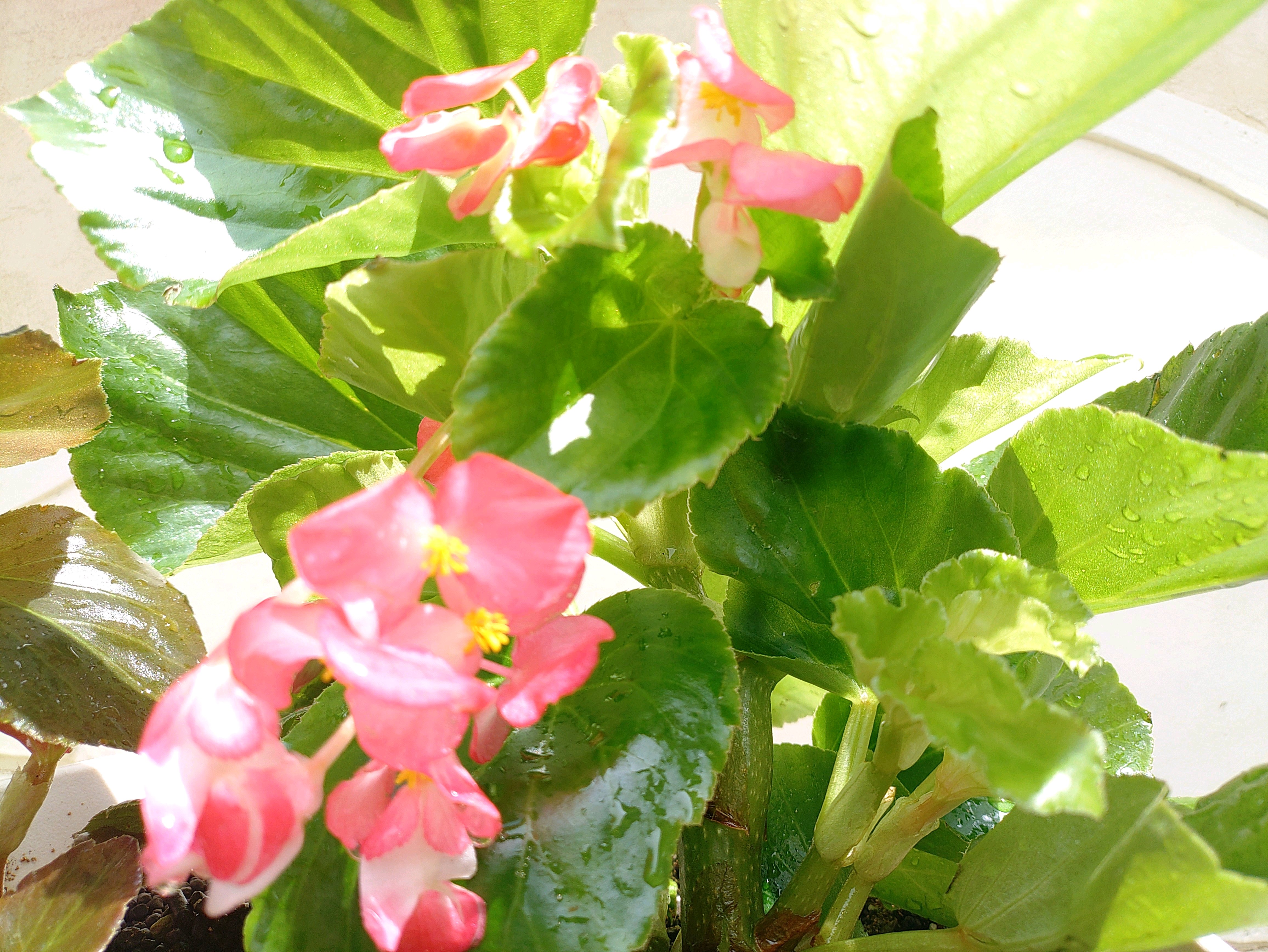 1754708511626_530091_p_2025080