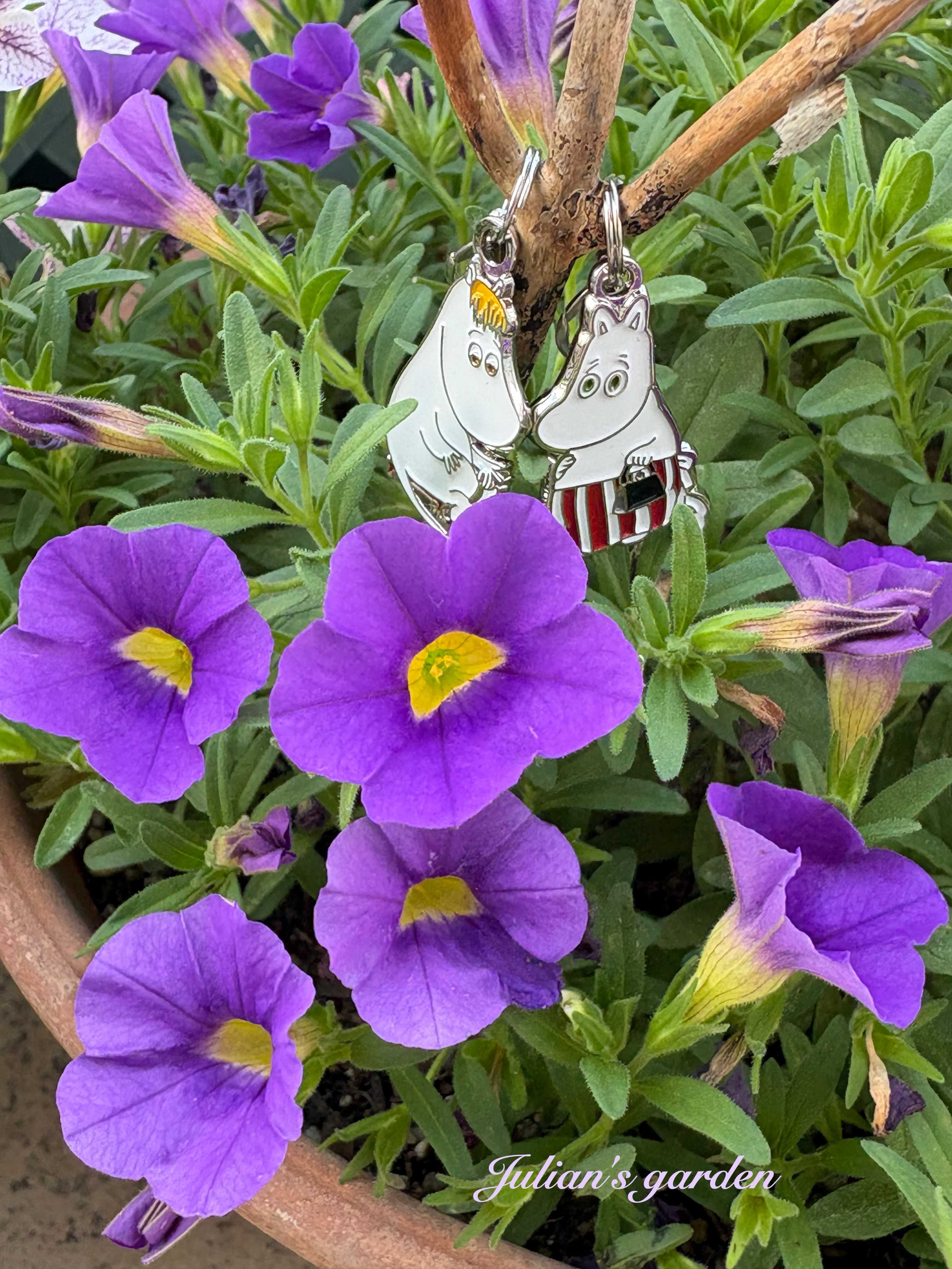 カリブラコアの投稿画像 by julianさん｜ペチュニアとバルコニー