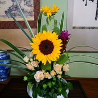 クルクマ,ヒマワリ,ヒマワリ,スプレーバラ,マンゴーの画像