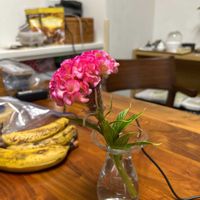 アルメリアの画像