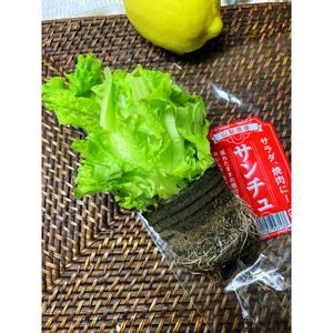 無農薬❤家庭菜園,GSに感謝。,素敵な日曜日,キッチンの画像