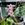 hidesgarden