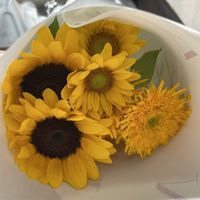ヒマワリ,切り花,お花屋さん,花のある暮らし,ガラスの花瓶の画像