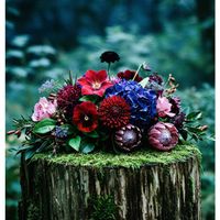 ダリア,パンジー,プロテア,紫陽花 アジサイ あじさい,花のある暮らしの画像