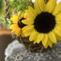 ヒマワリ,フラワーアレンジメント,花のある暮らし,切り花を楽しむ,部屋からの画像