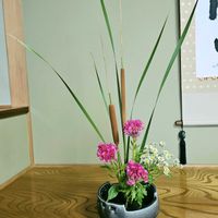 ガマ,ケイトウ,フラワーアレンジメント,華道,いけばなの画像