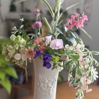 いけばな,仏花,つなぐ、つながる,小さな庭の画像