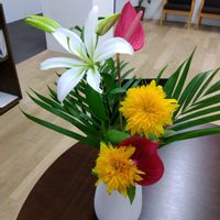 いけばな,生け花,職場に花を,職場のいけばな,ユニクロのお花の画像