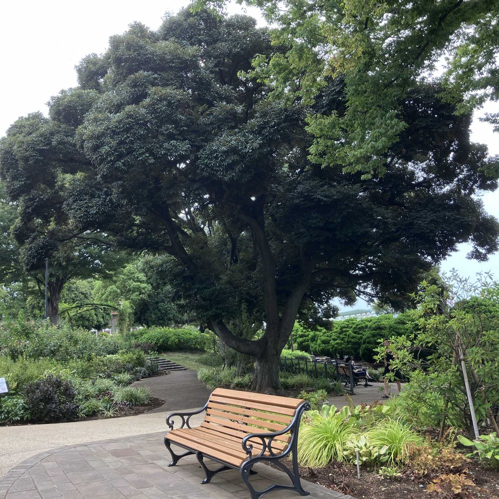 君にバラバラさんの港の見える丘公園への投稿