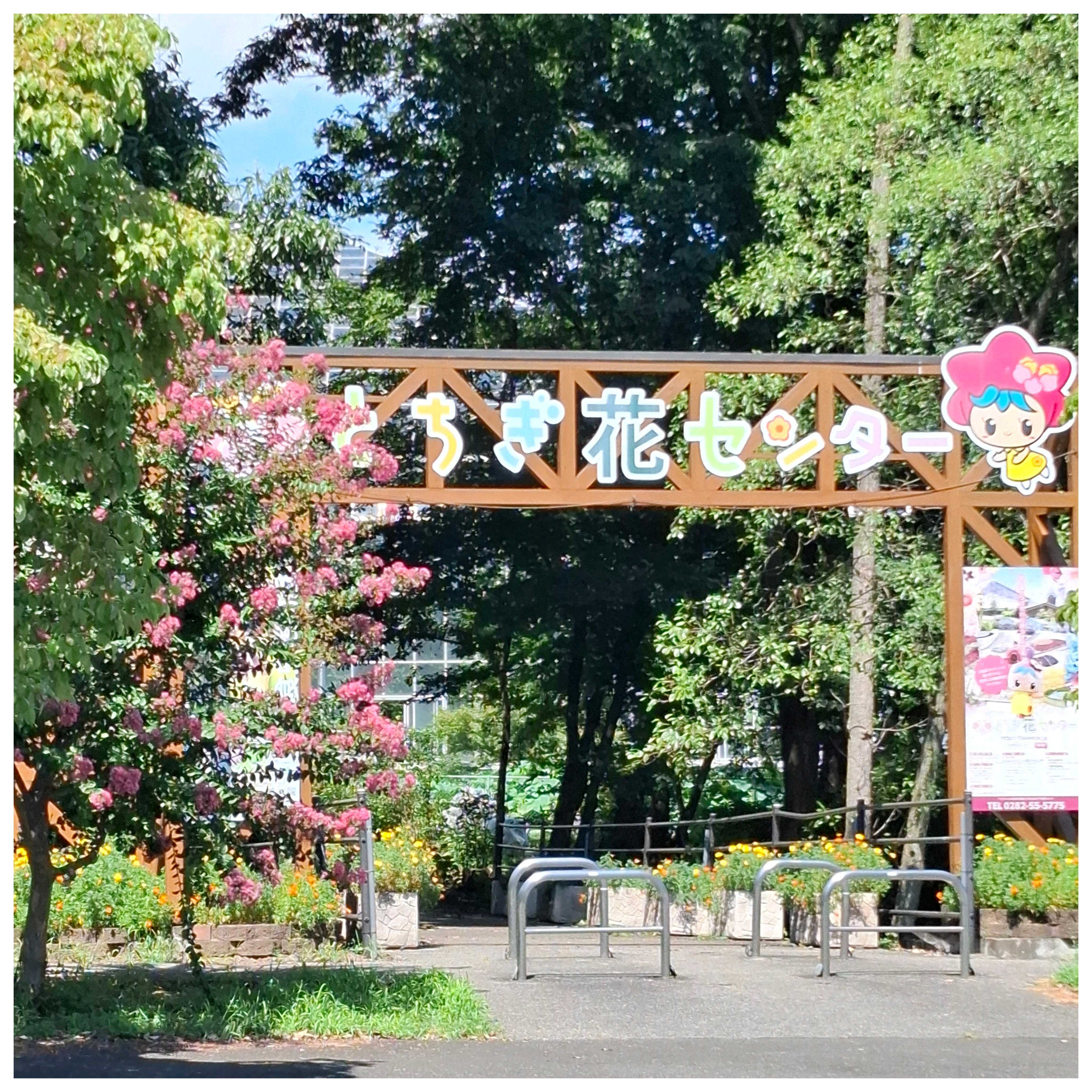 No.537 とちぎ花センター 2025年1️⃣1️⃣ 2025/08/15