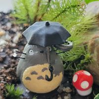 ハクチョウゲ,ヒノキゴケ,ホソバオキナゴケ,カモジゴケ,苔テラリウムの画像