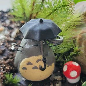 ハクチョウゲ,ヒノキゴケ,ホソバオキナゴケ,カモジゴケ,苔テラリウムの画像