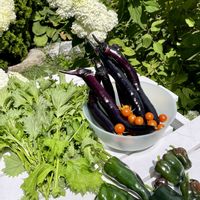 イタリアンパセリ,スイカ,スイカ,トマト,バジルの画像