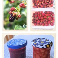 ルバーブ,手作りジャム,ストロベリージャム,苺ジャム,ルバーブのジャムの画像