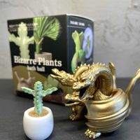 ホワイトゴースト,パキポディウム・グラキリス,キングギドラライト,待ちぼうけキングギドラ,ユーフォルビアの画像