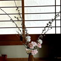 カーネーション,トルコキキョウ,ネコヤナギの画像