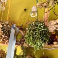 アザミ,カレープラント,ローズマリー,ドライフラワーいろいろ,花のある暮らしの画像