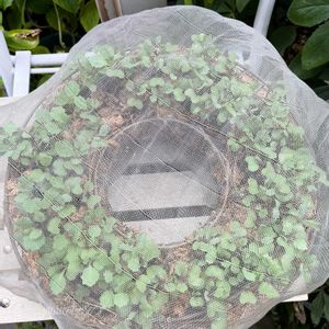 ハボタン,葉牡丹,ガーデニング,害虫対策,花が好きの画像