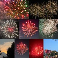 ケヤキ,花火,イワタバコ,山野草,多年草の画像