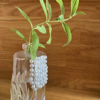 レモンバーベナ,ハーブ,いい香り,グリーン,涼やかの画像