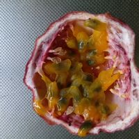 パッションフルーツ,パッションフルーツ,グァバ,グァバ,沖縄土産の画像