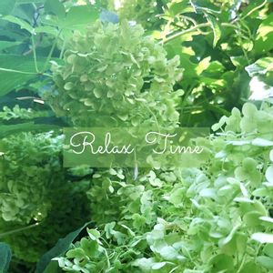 インテリア雑貨,フラワー雑貨,豪雪地の画像