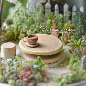 多肉植物 寄せ植え,箱庭,箱庭 多肉植物,くるみガーデン　くるみ＊,多肉植物の画像