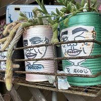 白檀,三日月ネックレス,信楽焼たぬき,繋がりに感謝✨,ｷﾓｶﾜ倶楽部の画像