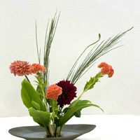 エニシダ,ケイトウ,ダリア,ドラセナ,生け花の画像