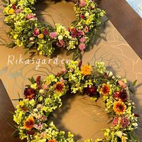 キャットテール,クラスペディア,スモークツリー,センニチコウ,バラの画像